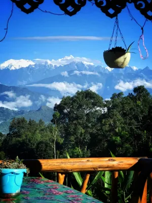 fikkalay gaon