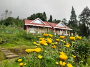 Vacay Nest Boho Homestay, Rangbhang