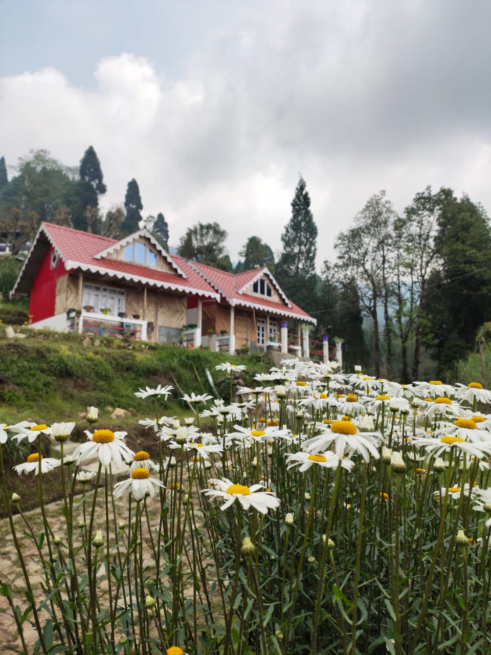Vacay Nest Boho Homestay, Rangbhang