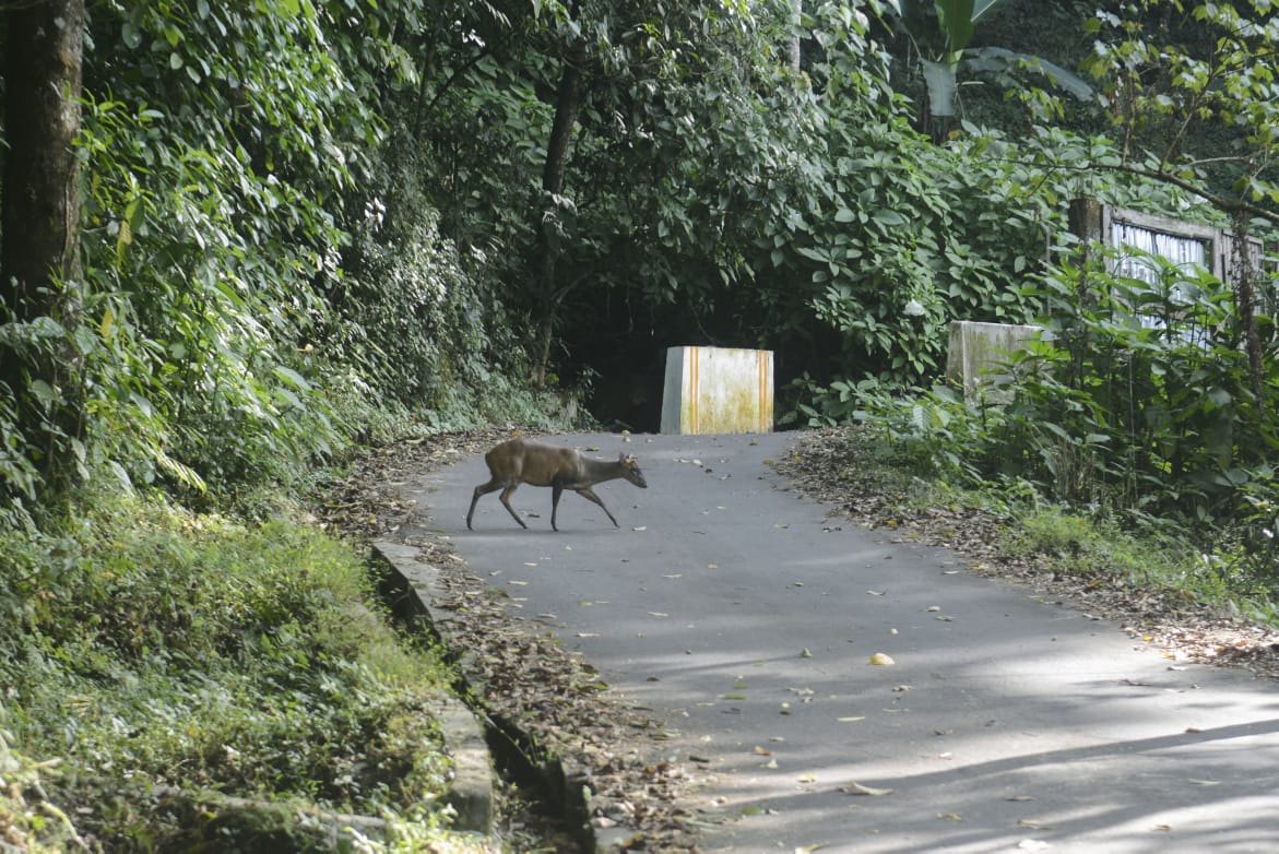 Vacay Nest Brightside Farmstay