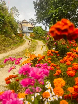 Vacay Nest Chodenla homestay
