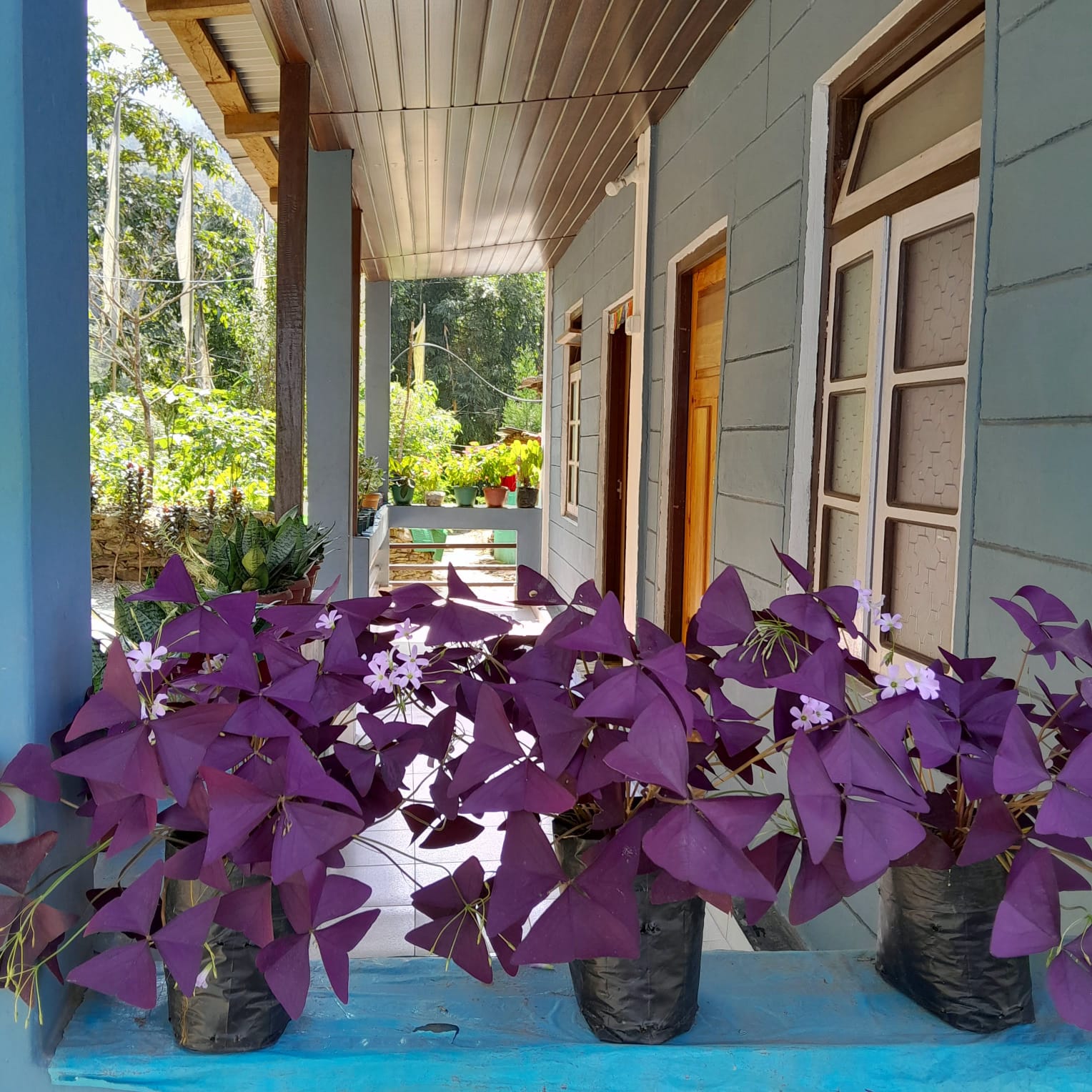 Vacay Nest Homestay 38 Sittong 3