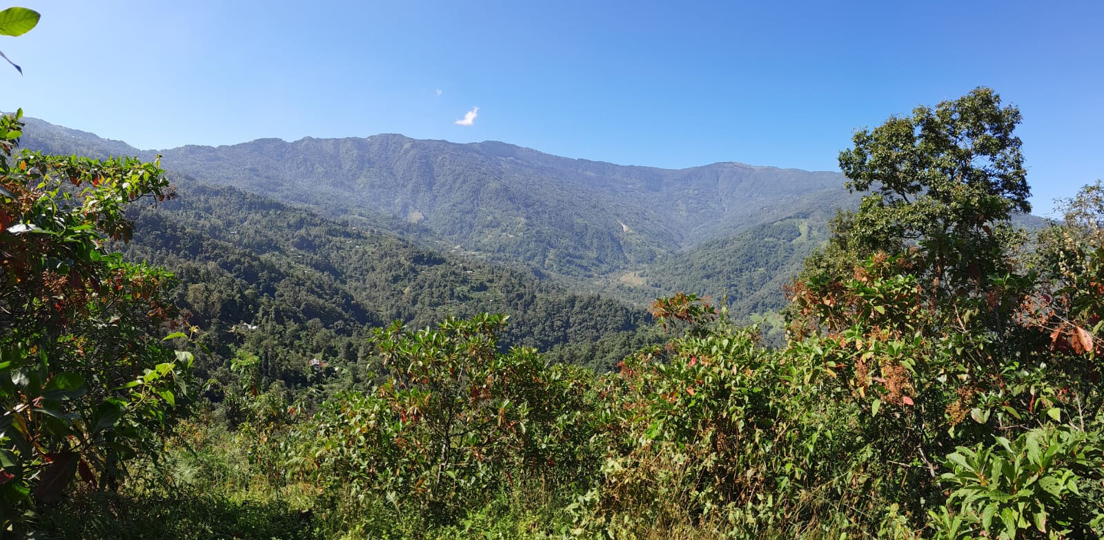 Vacay Nest Homestay 38 Sittong 3