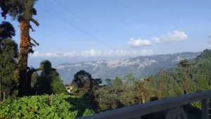 Vacay Nest Lali Guras Homestay