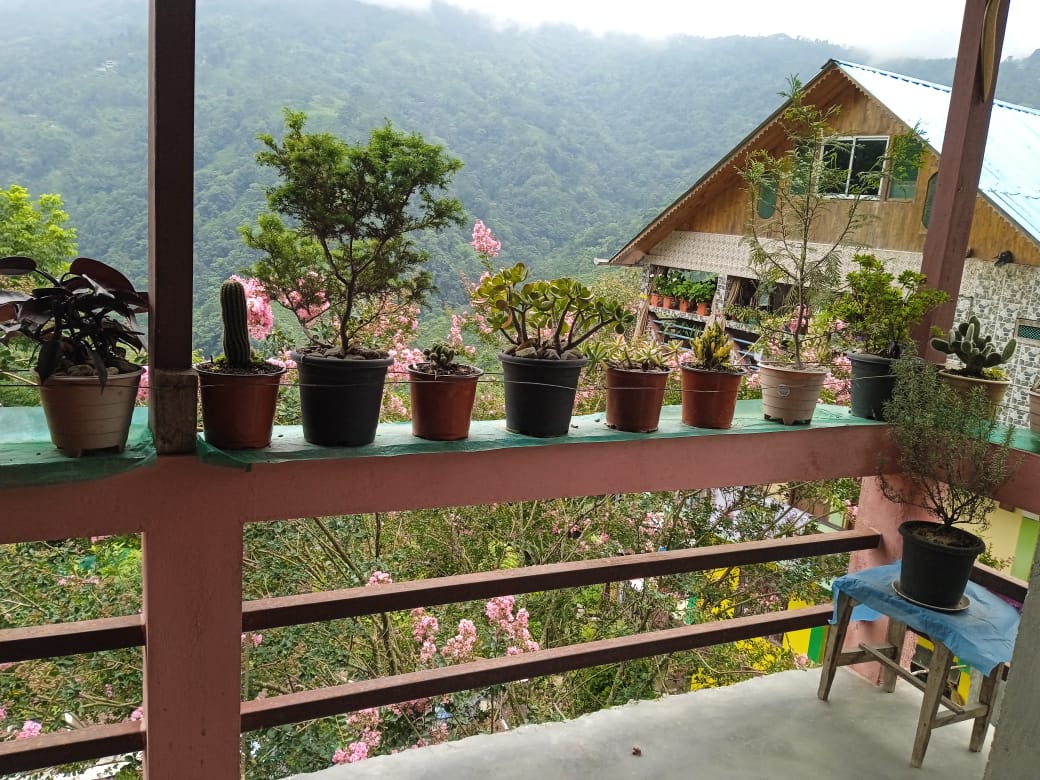 Vacay Nest Koko Mhendo Homestay