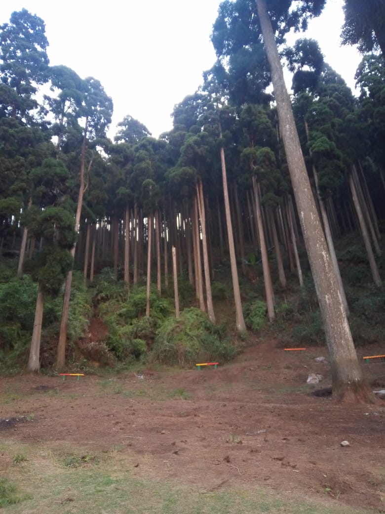 Vacay Nest Lamahatta Mountain View Homestay