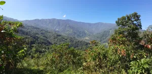 Vacay Nest Little Hill Homestay in Latpanchar