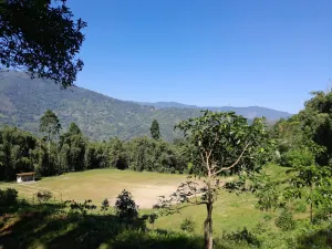 Vacay Nest Little Hill Homestay in Latpanchar