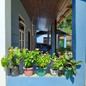 Vacay Nest Little Hill Homestay in Latpanchar