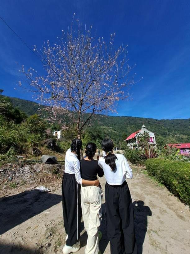 Vacay Nest Mamring homestay - Philamon Mukhia