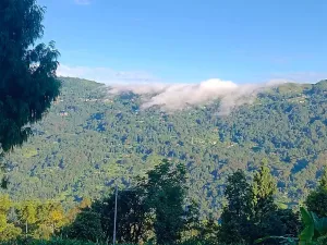 Vacay Nest Mamta Home Stay , santook khasmahal