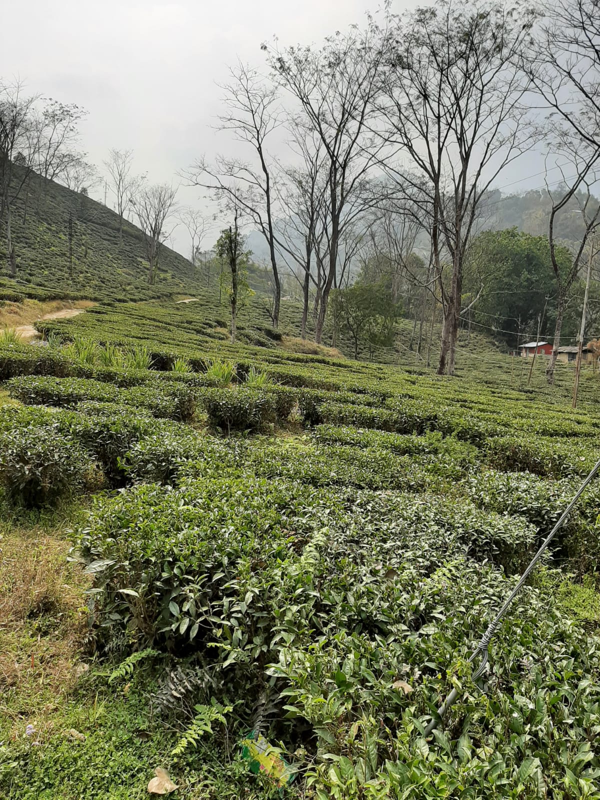 Vacay Nest Manidhara Home Stay