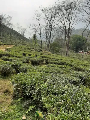 Vacay Nest Manidhara Home Stay