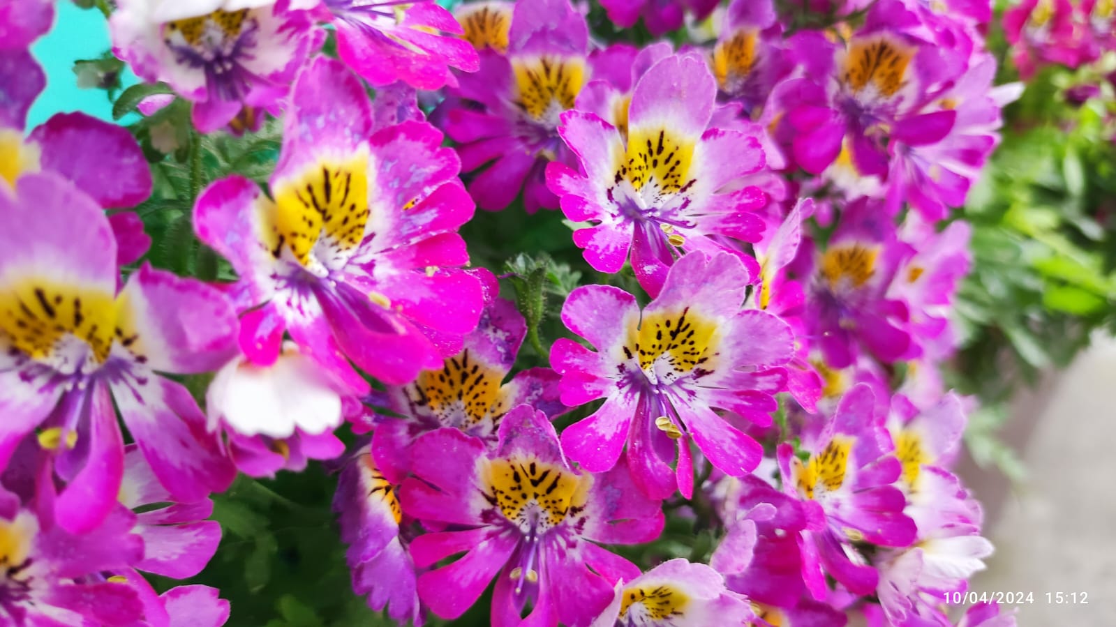 Vacay Nest Nambang Homestay