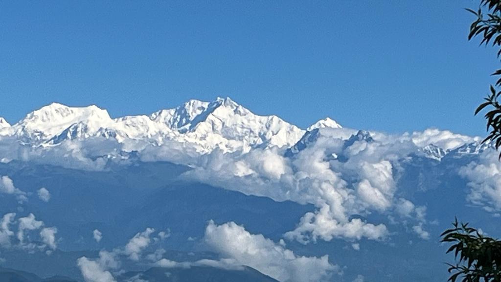 Vacay Nest Pine Valley Homestay