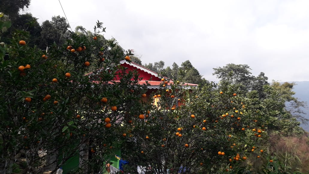 Vacay Nest Prathana Homestay