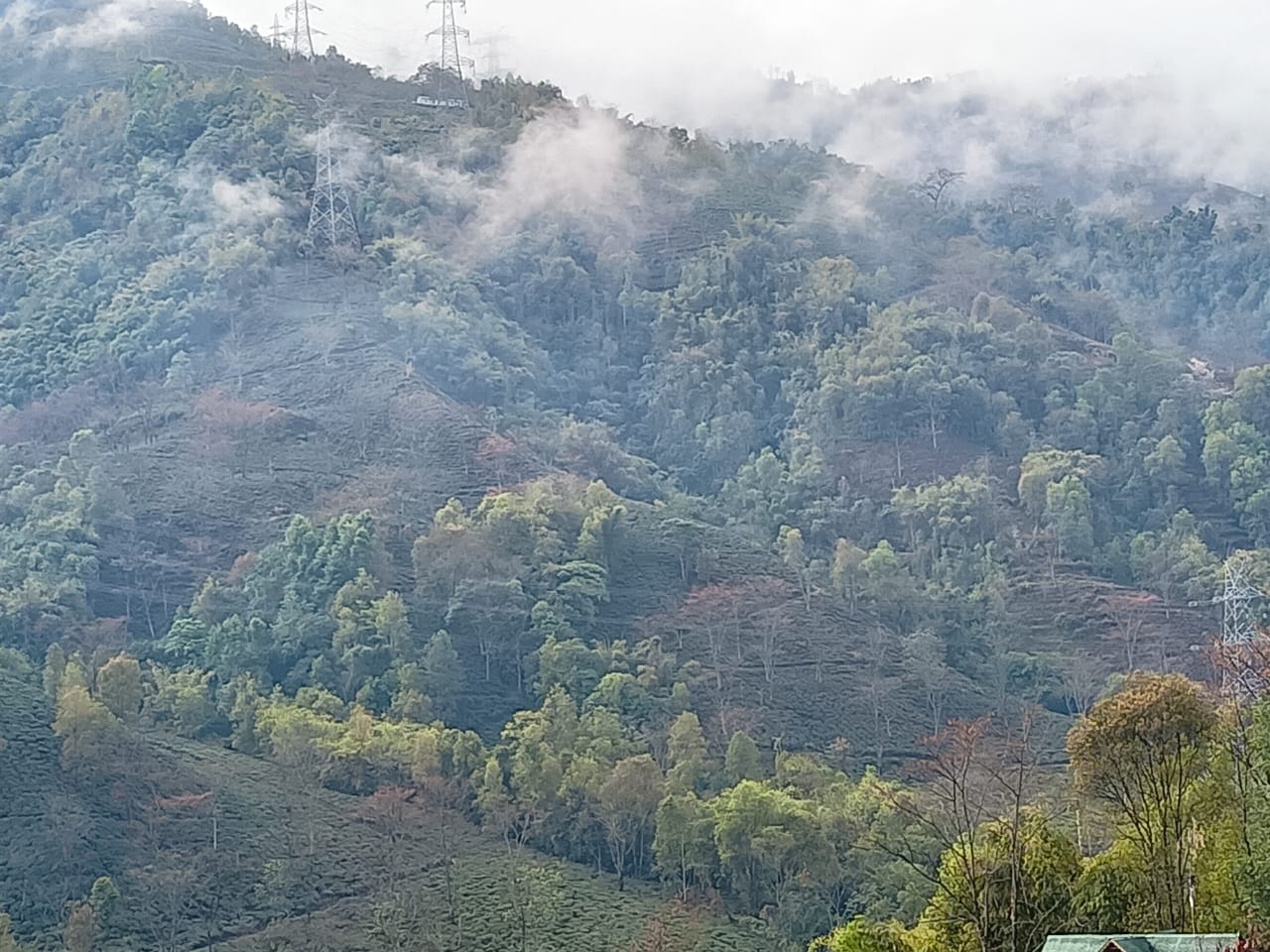 Vacay Nest SMRITI HOMESTAY