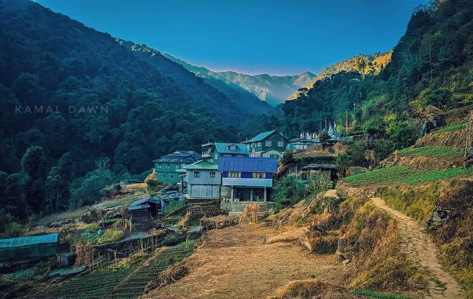 Vacay Nest Sharma Homestay