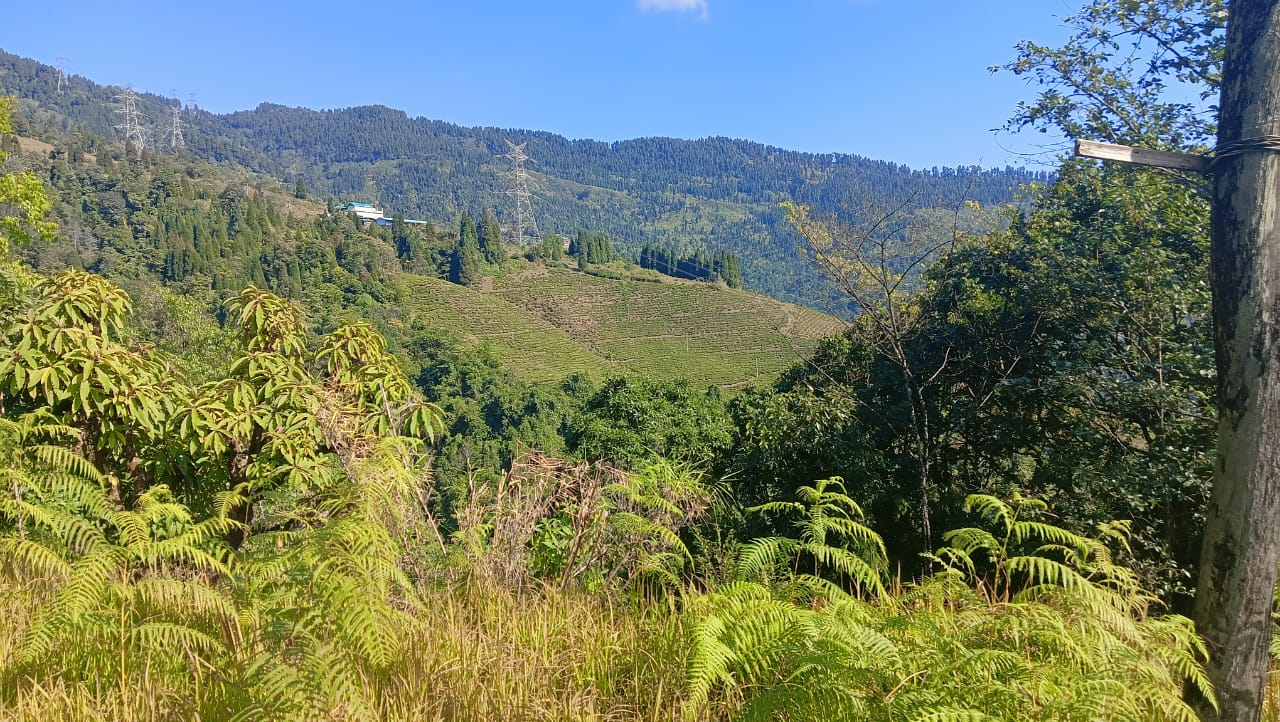 Vacay Nest Sharma Homestay