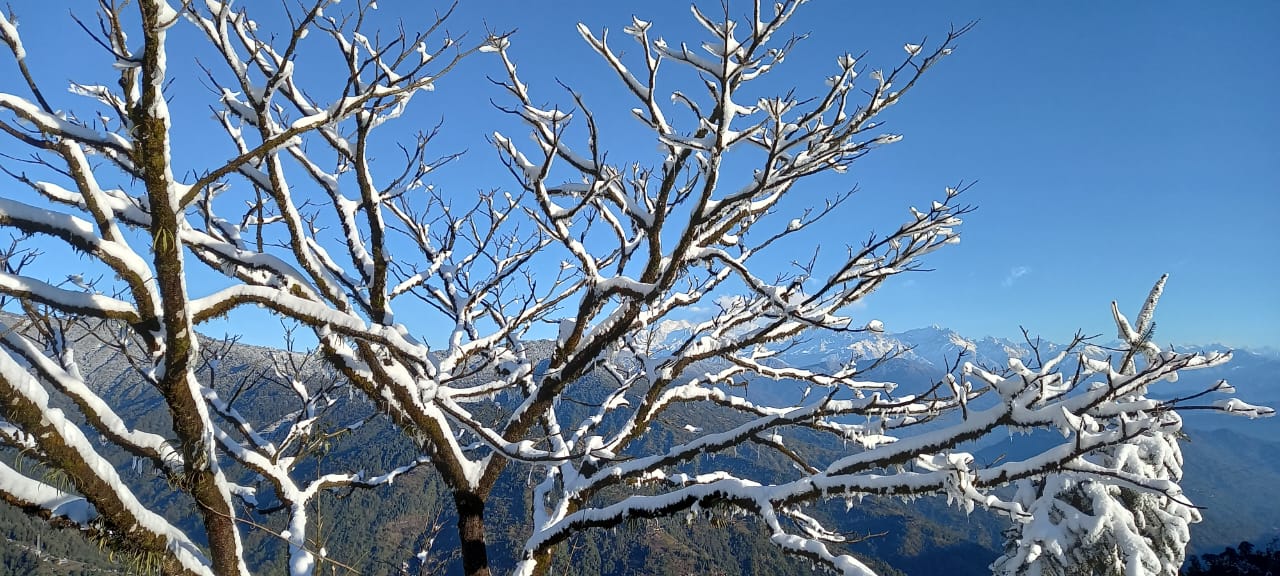 Vacay Nest Simana home stay 360 view