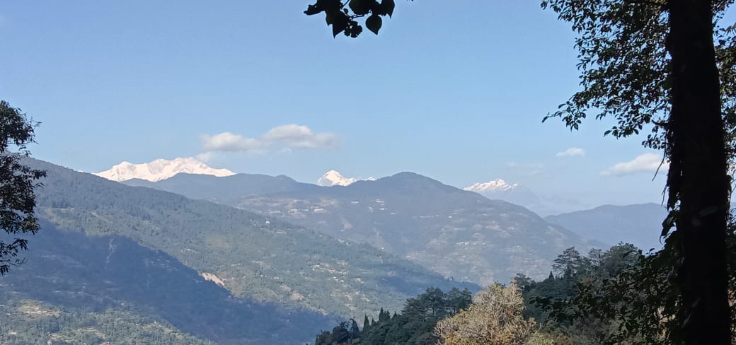 Vacay Nest Singalila Chamling Pine tree Homestay