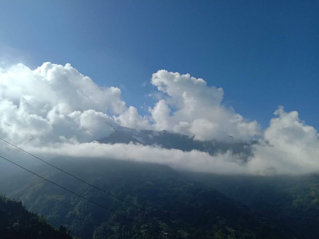 Vacay Nest Singalila Chamling Pine tree Homestay