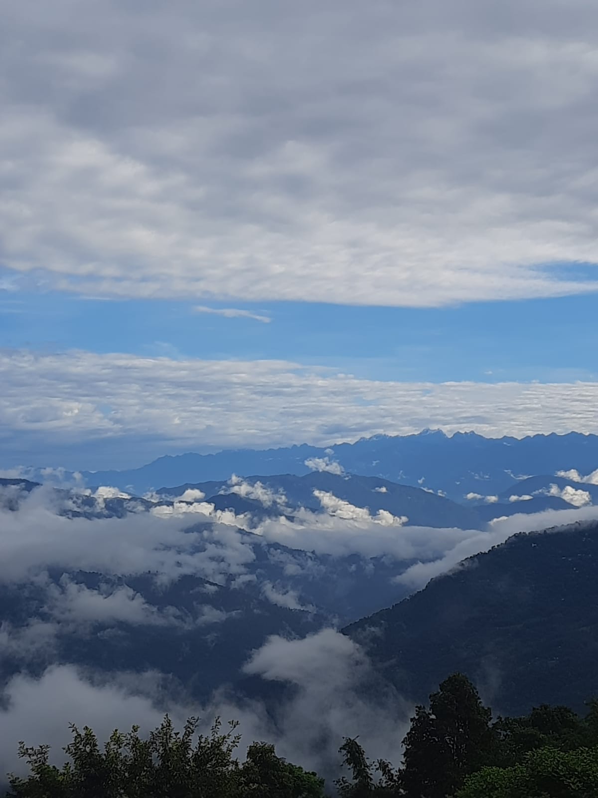 Vacay Nest Teesta Rangeet-  Stays and Trails