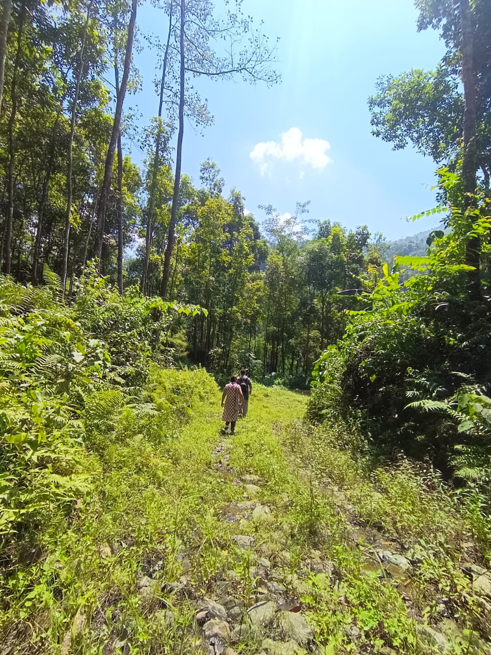 Vacay Nest Teesta Rangeet-  Stays and Trails