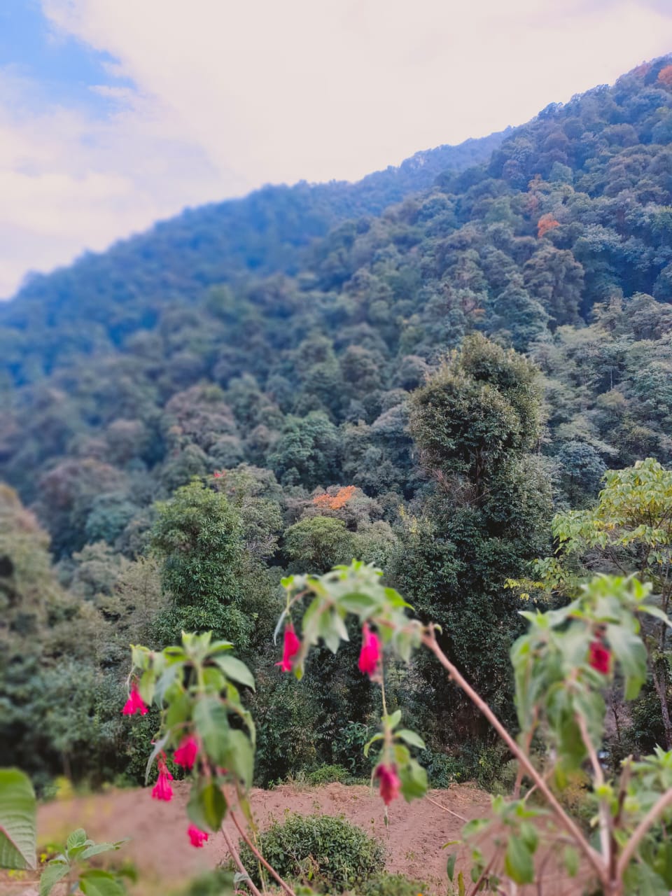 Vacay Nest Timburey Swayambhu Home Stay