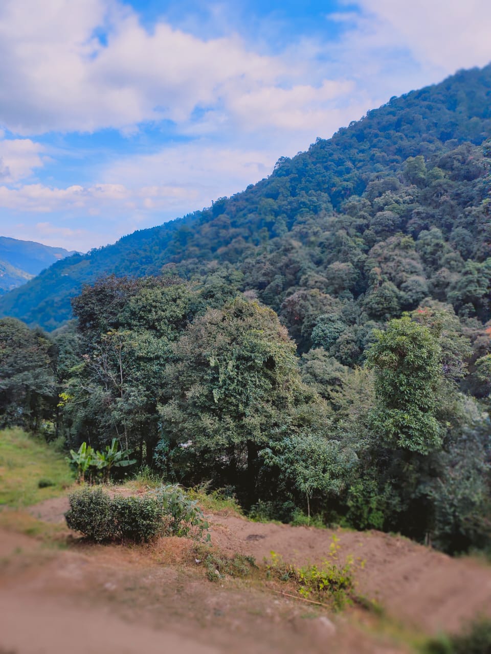 Vacay Nest Timburey Swayambhu Home Stay