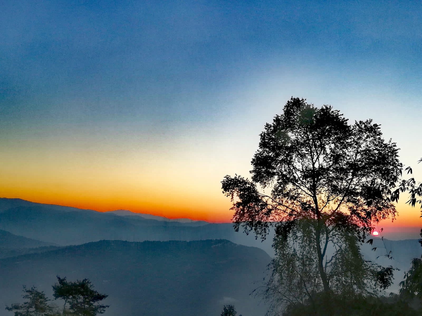 Vacay Nest Tinchulay Himalayan Homestay