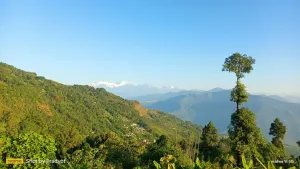 Vacay Nest Tinchuley U Turn Homestay