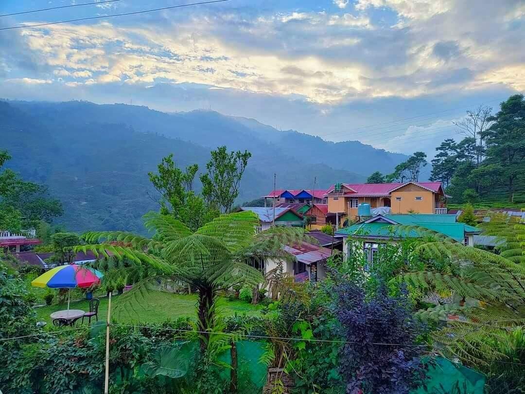 Top Remote Homestays in North Bengal